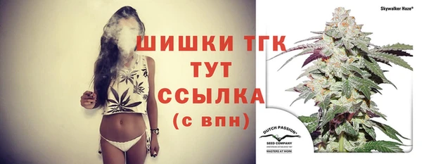 mdpv Новодвинск