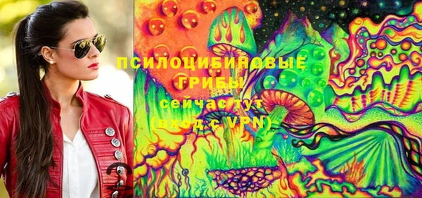 apvp Балахна